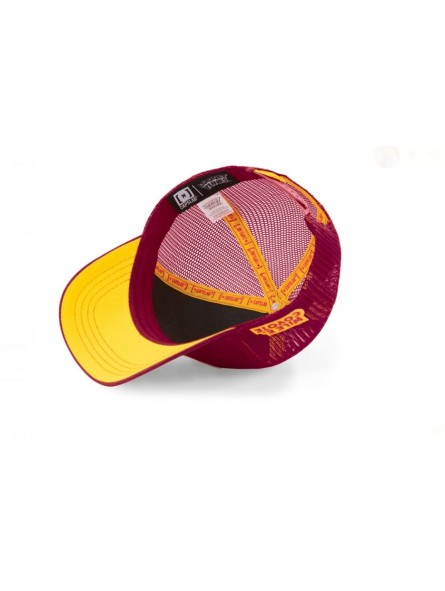 Gorra Malla Capslab Looney Tunes Coyote