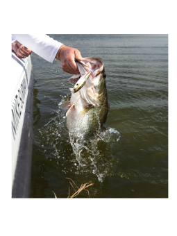 Yo-zuri 3DB Wake Prop