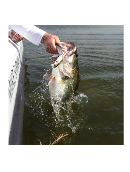 Yo-zuri 3DB Wake Prop