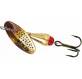 Gold Brown Trout