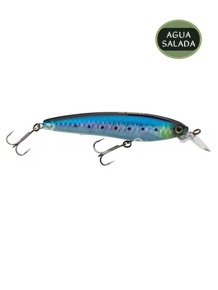 Holographic Sardine